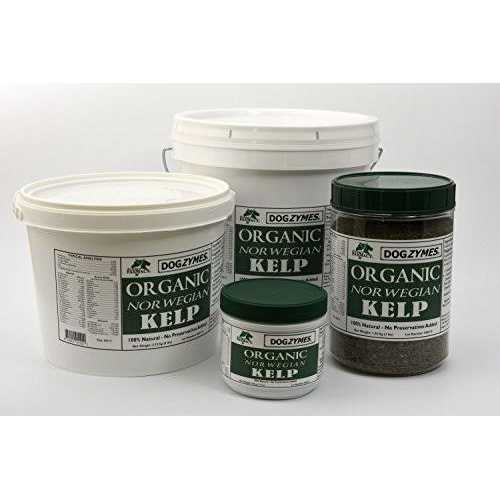 Organic Norwegian Kelp for Pets V4789