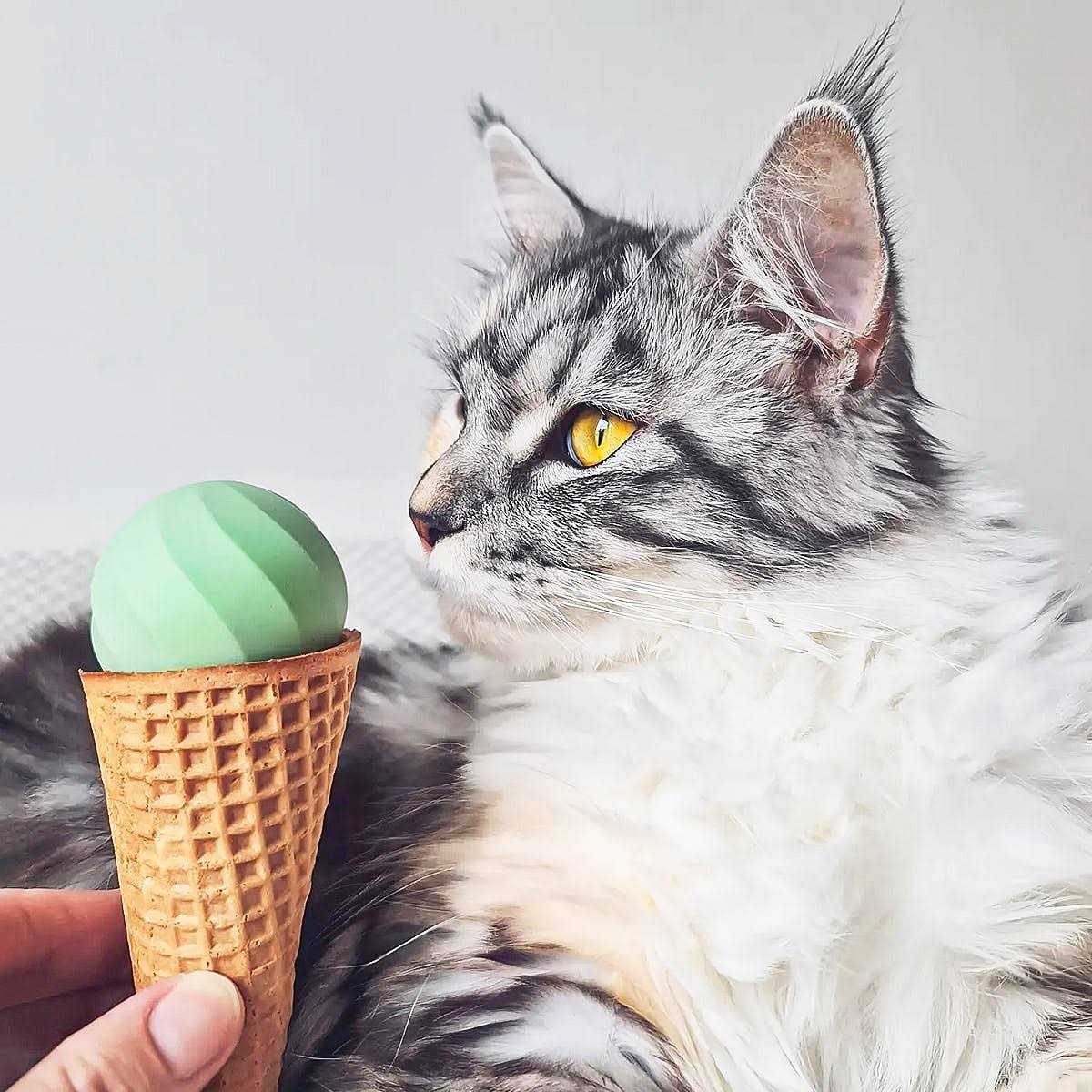 Interactive Cat Toy Ball W179536