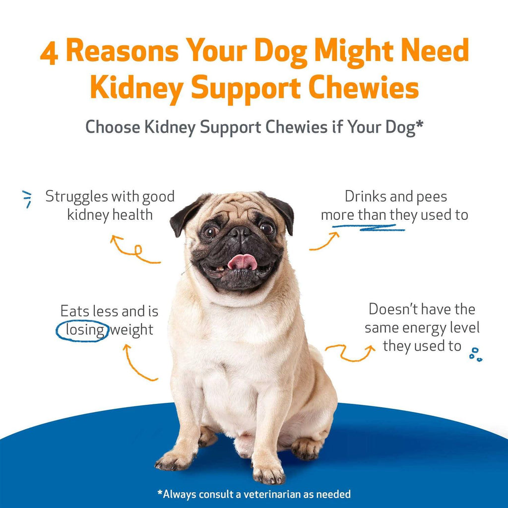Kidney Support Chewies for Dogs B33961