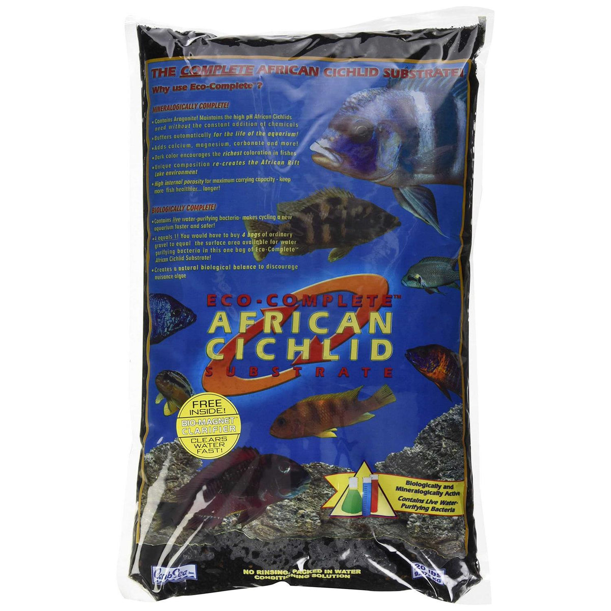 African Cichlid J84000