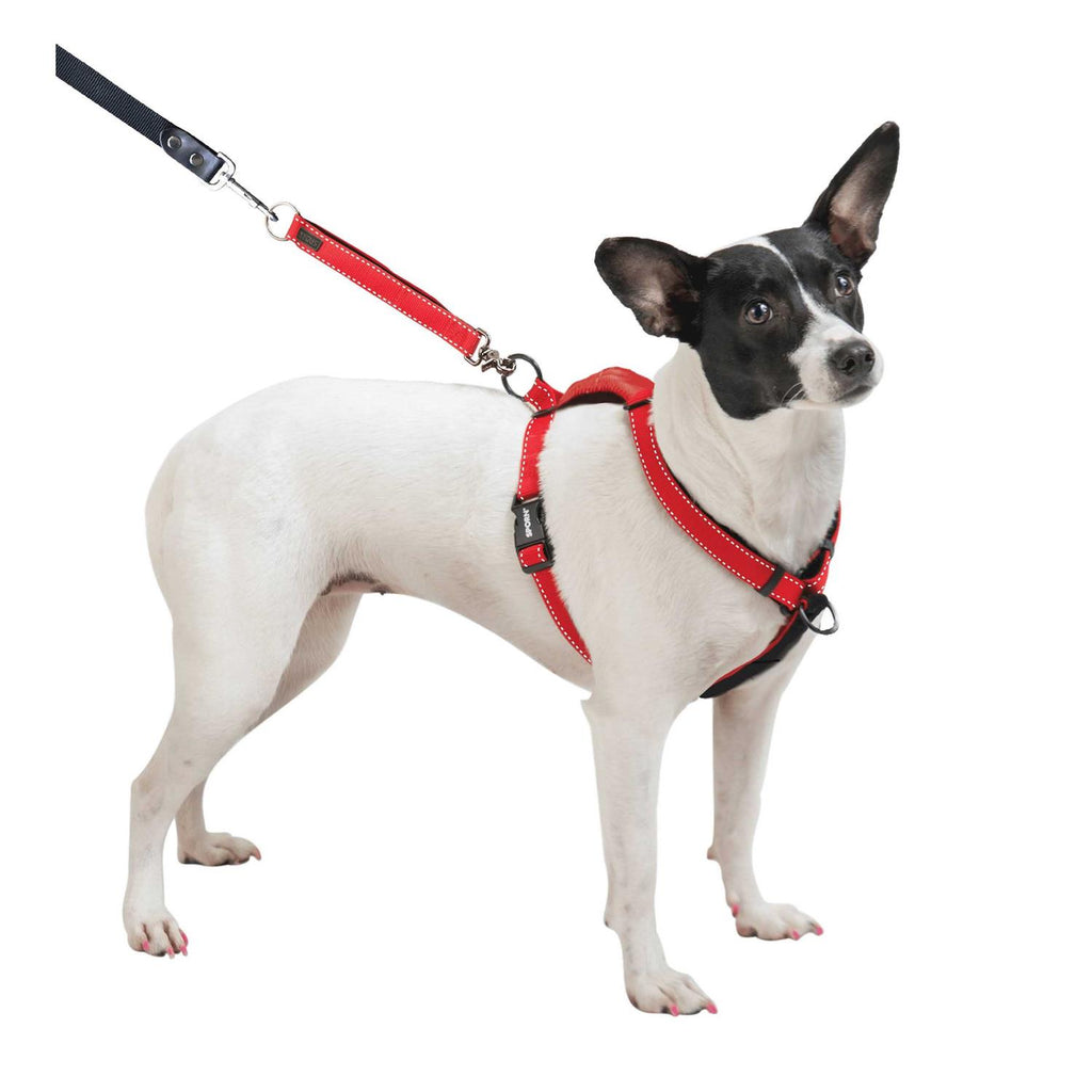 Ultimate Control Harness N415