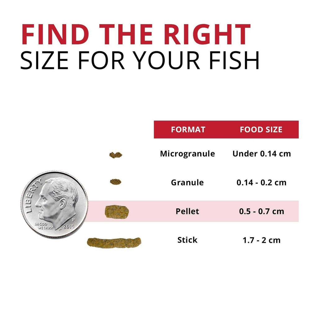 Cichlid Food B125068