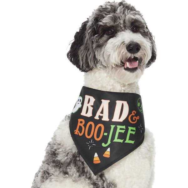 Dog Toy G680257