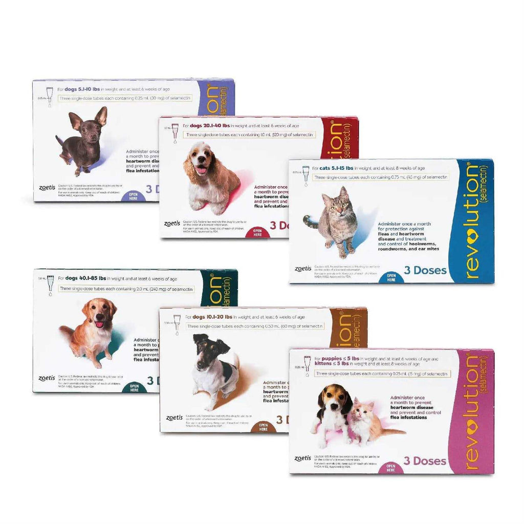 Dog Revolution U7281