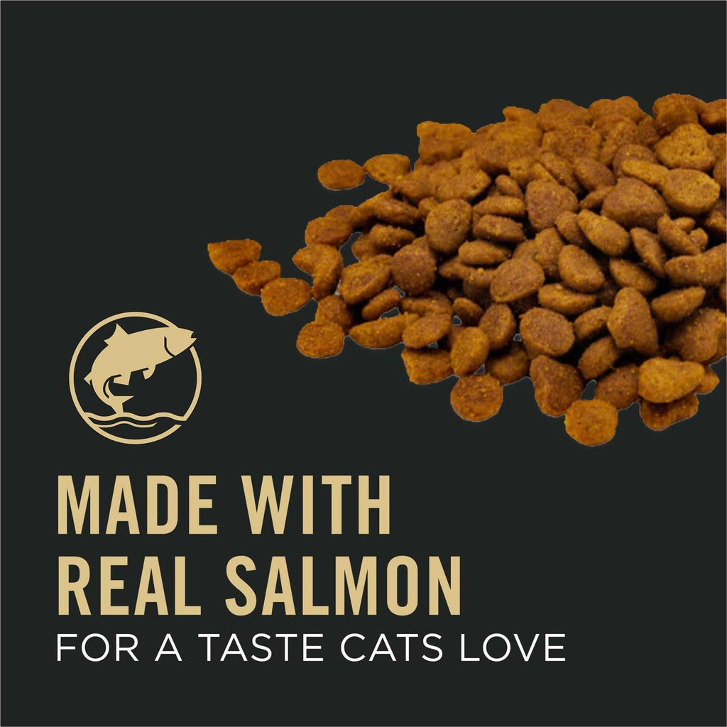 Salmon and Rice Senior Dry Cat Food W72772