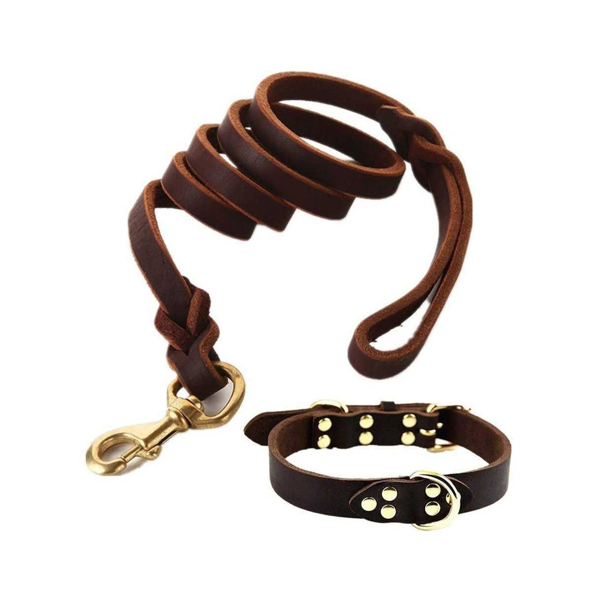 Leather 6 Foot Braided Dog Leash N74988