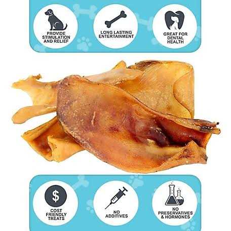 Large Whole Pig Ears Dog Chew Treats V54930