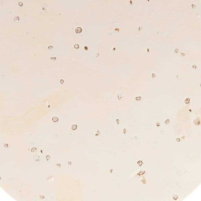 14-day Feeder Tablet W237