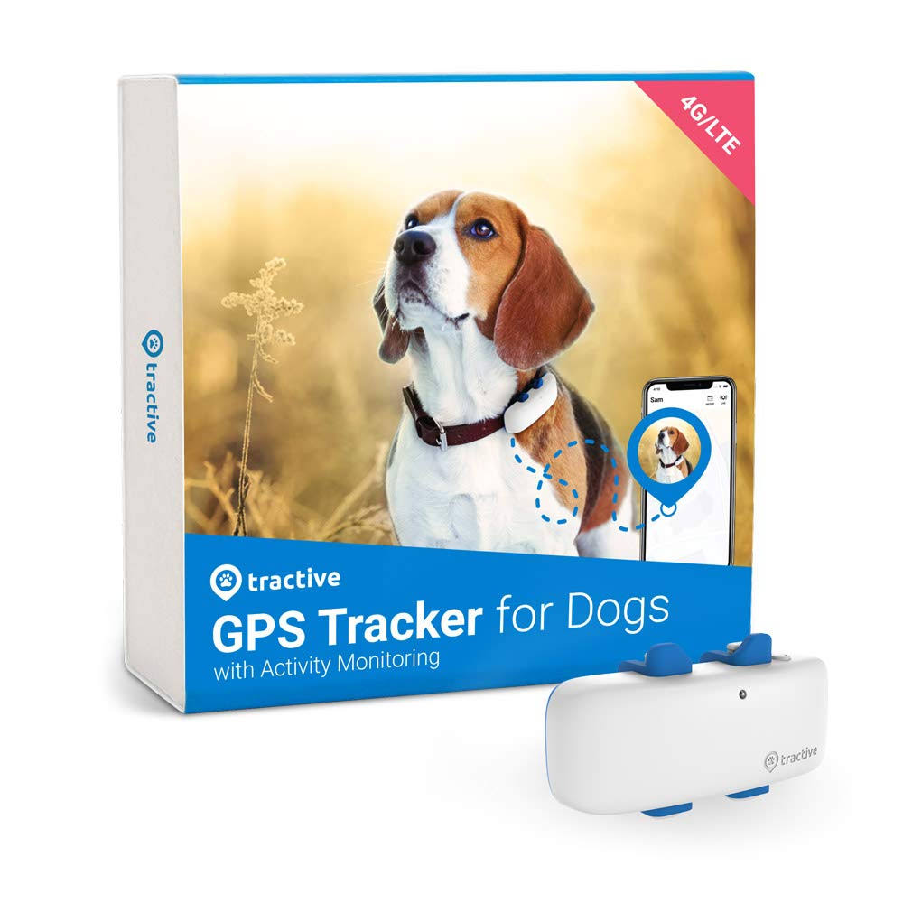 White Dog & Cat GPS Tracker Q19050