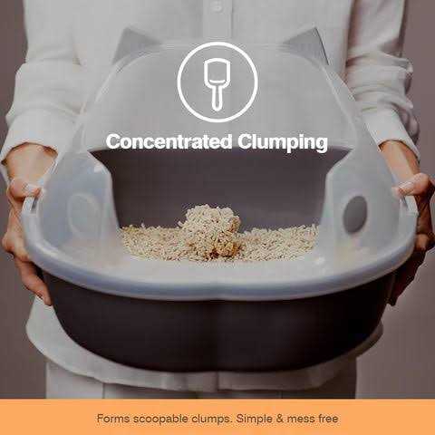 Clumping Corn Cat Litter L574