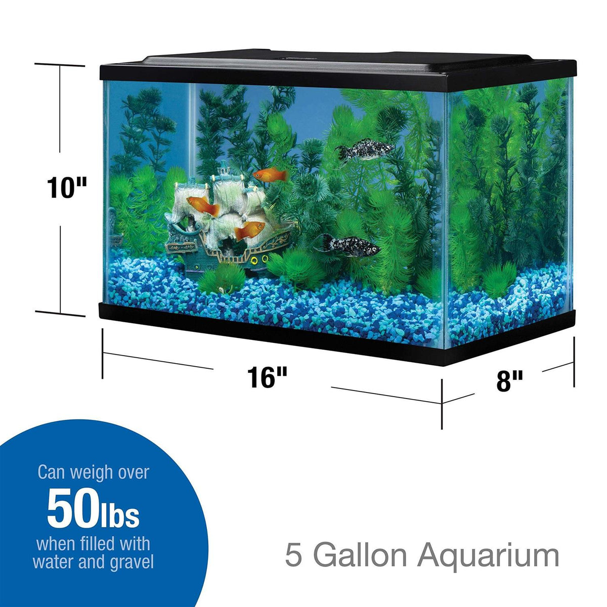 Glass Aquarium 5.5 Gallons Q32734