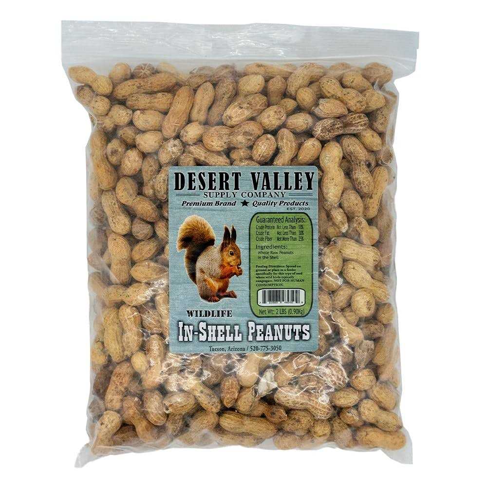 Peanuts in Shell T5656