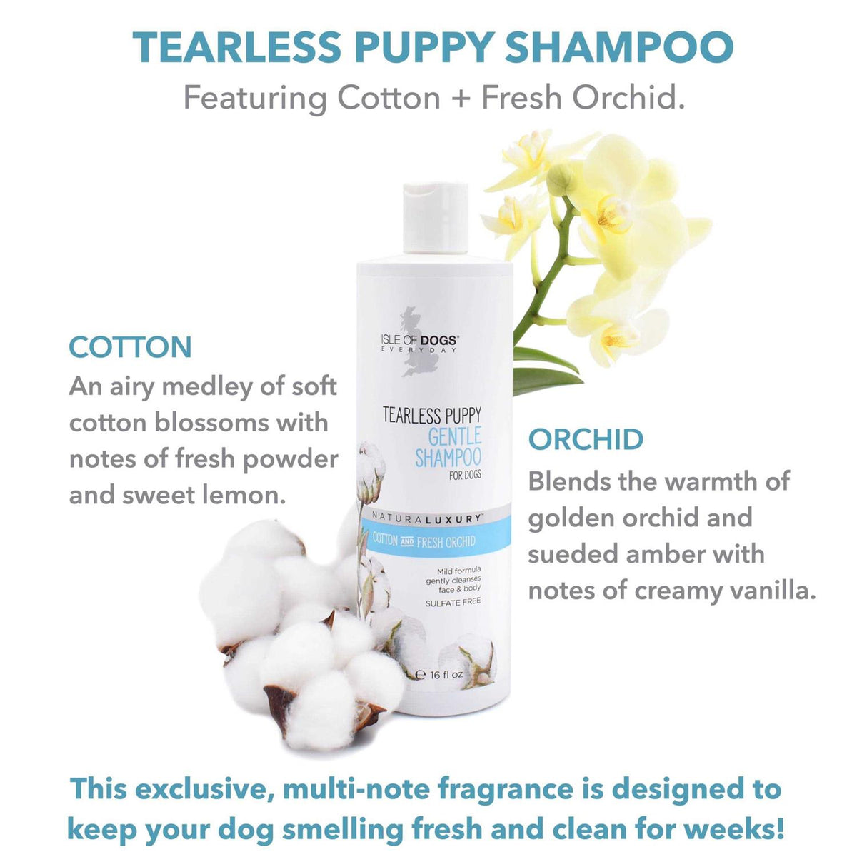 Tearless Puppy Shampoo V4487