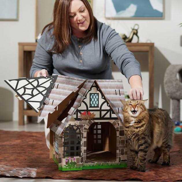 Cardboard Cat House R38929