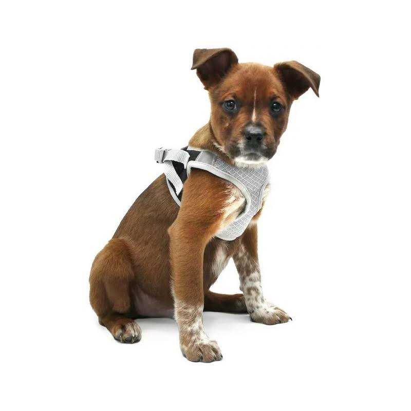 Dog Harness I921591